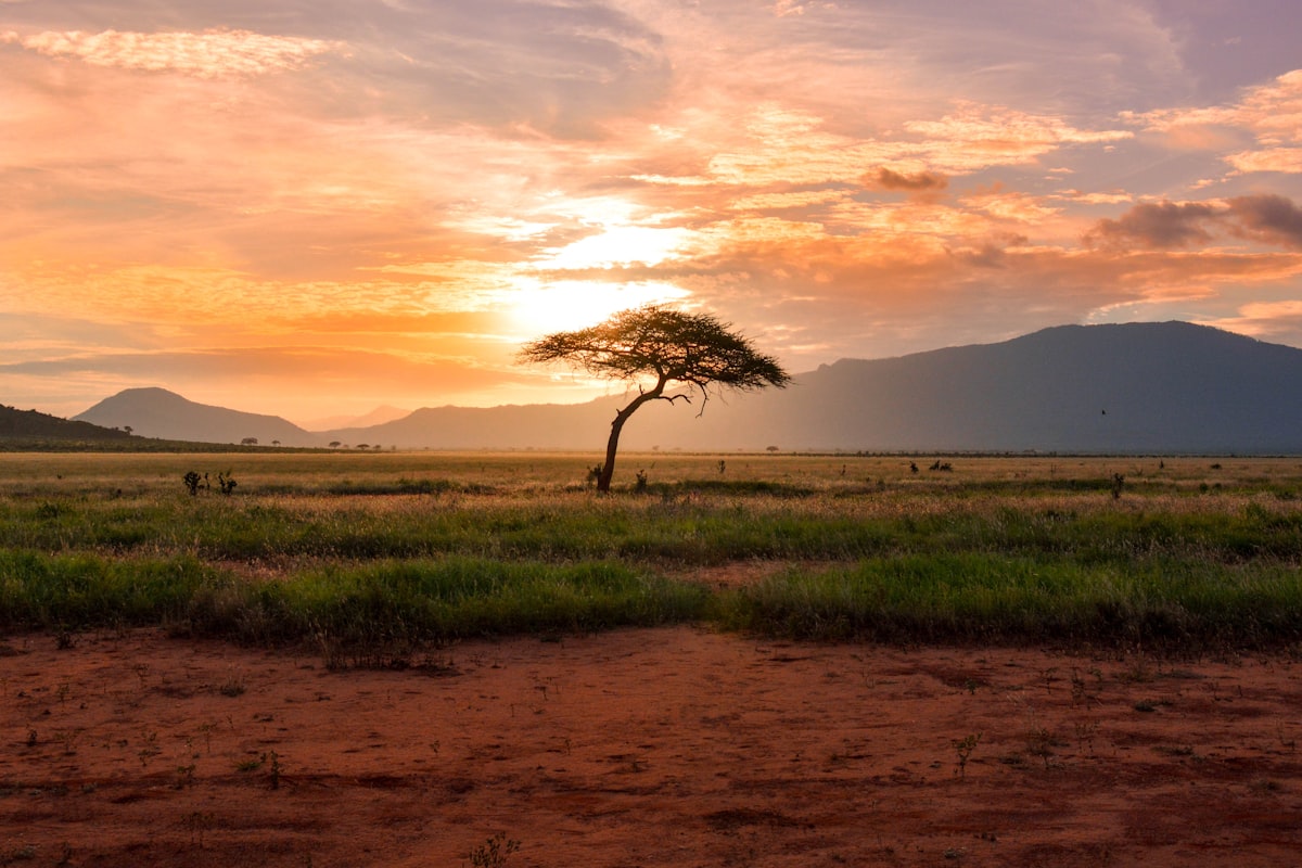 Data analytics in Africa